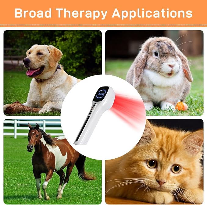 Red Light Therapy Device for Dogs - Infrared Red Light Therapy Device with Adjustable Stand, 4X808 nm &14 x650nm Therapy Device for Pain Relief Arthritis, Spinal and Promote Blood Circulation