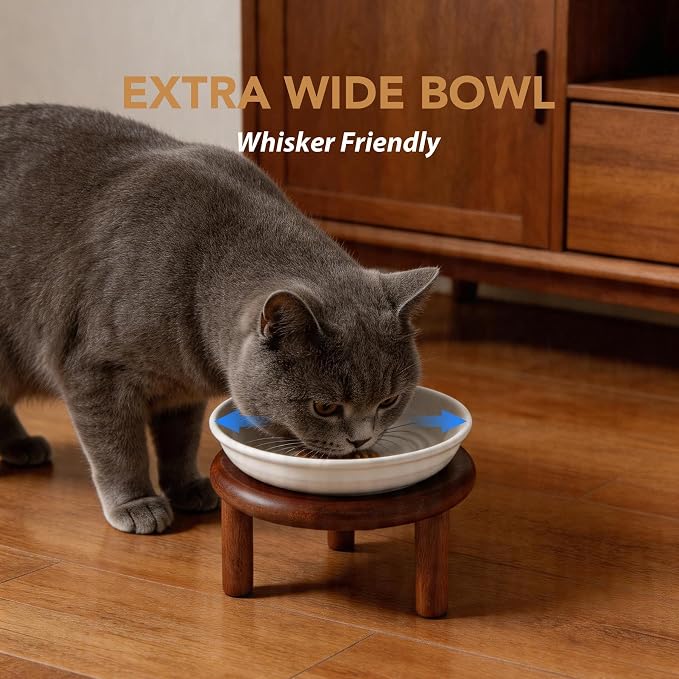 Havniva Elevated Cat Bowls, Ceramic Cat Bowl with Wood Stand, Wide Opening | 5.7” Raised Cat Food Bowls, Whisker Friendly Cat Dish, Anti-Slip Cat Water Bowls, Shallow Cat Bowls, Cat Food & Water Bowl