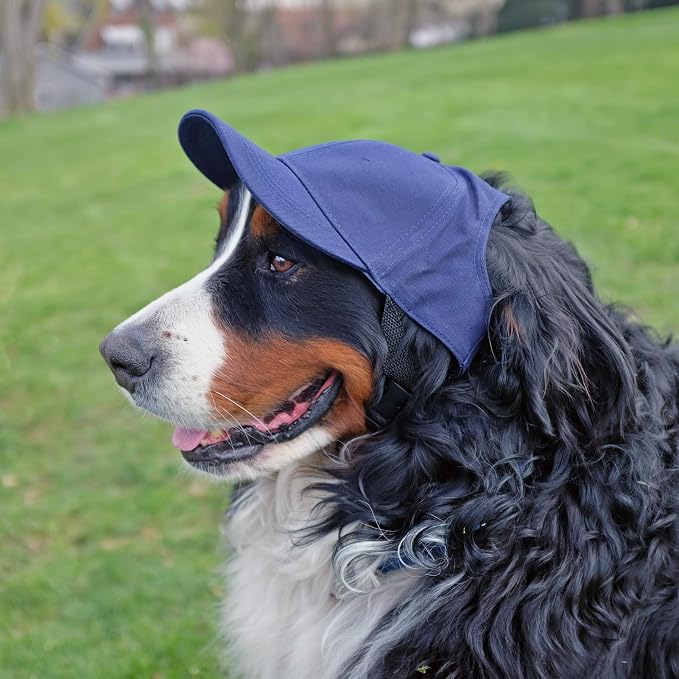 Littlearth Unisex NHL Pet Baseball Hat