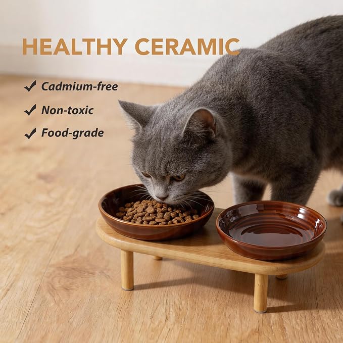 Havniva Elevated Cat Bowls, Ceramic Cat Bowl with Bamboo Stand Wide Opening | 5.7” Raised Cat Food Bowls, Whisker Friendly Cat Dish, Anti-Slip Cat Water Bowls, Shallow Cat Bowls, Cat Food & Water Bowl