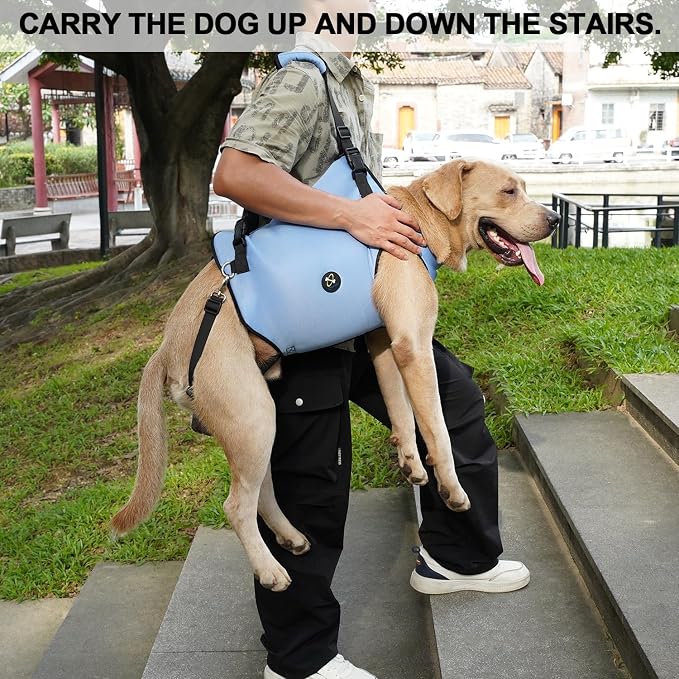 Coodeo Dog Lift Harness, Pet Support & Rehabilitation Sling Lift Adjustable Padded Breathable Straps for Old, Disabled, Joint Injuries, Arthritis, Loss of Stability Dogs Walk (Blue, L)