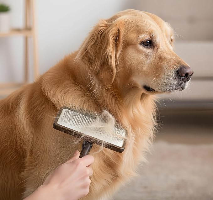 Dog Slicker Brush with Wooden Handle for Dogs & Cats, Doodle Brush for Goldendoodles, Poodles & Labradoodles, Removes Loose Hair, Mats, Tangles & Dirt, Grooming Brush for Thick Curly Coats