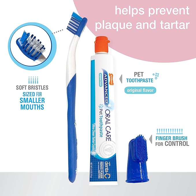 Nylabone Advanced Oral Care Puppy Dental Kit Puppy Original 3 Count