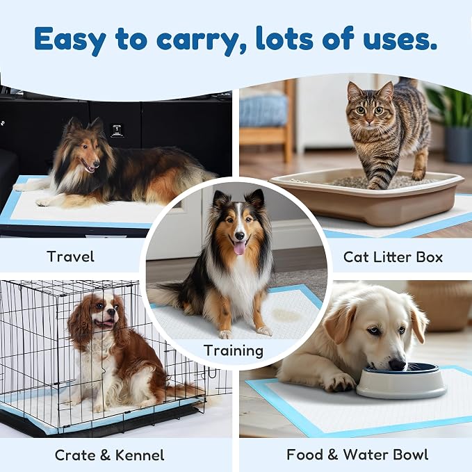 FluffyDream Super Absorbent Waterproof Dog and Puppy Pet Training Pad, Housebreaking Pet Pad,Blue (17.6"x23.6" (50PCS))