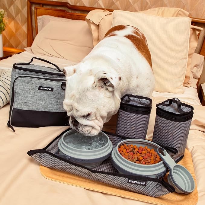 Large 7-Piece Bistro Box Dog Food Travel Kit, 12-BPA-Free Cup Kibble Storage, 2 Silicone Bowls, Mat & Scoop - Portable Pet Food Kit for Weekends, Overnights, Daycare & Camping, Heather Grey