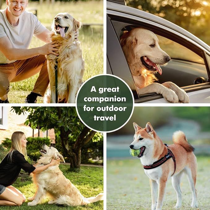 Collapsible Dog Bowls, Travel Food and Water Double Bowl for Cats & Dogs, 2-in-1 Portable BPA-Free Feeding Solution, Perfect for Traveling, Camping & Walking (L/ 100oz)