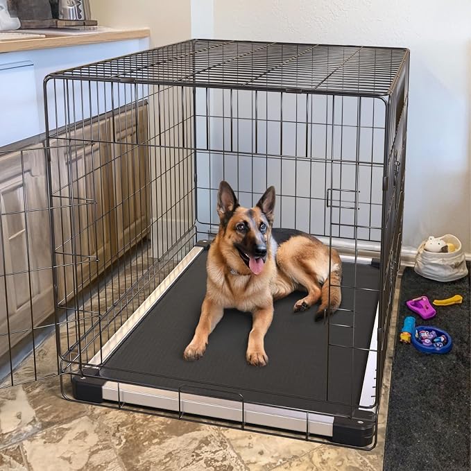 FXW TitanNest Padded Chew-Proof Elevated Dog Bed for Large Dogs | Easy to Clean, Pre-assembly Raised Cot, Indoor/Outdoor/Camping, 47 x 29 x 7.3in