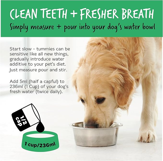 BUGALUGS Dog Breath Freshener Dental Care Water Additive. Clean Teeth, Healthy Gums & Fresh Breath - Natural Dog Plaque Remover & Tartar Remover for Teeth. No Brushing Needed (16.9 Oz Water Additive)