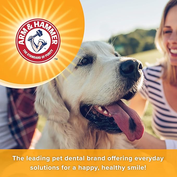 Arm & Hammer for Pets Tartar Control Enzymatic Toothpaste for Dogs Reduces Plaque & Tartar Buildup Safe for Puppies Beef Flavor, 2.5 Ounces Dog Toothpaste (Pack of 1)