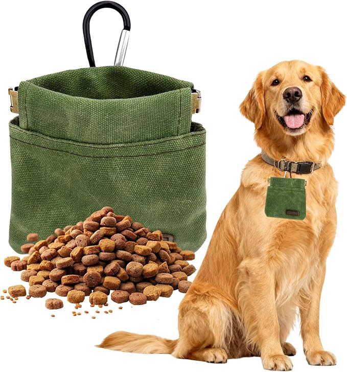 Dog Treat Pouch, Portable Auto Closing Dog Training Treat Bag with Carabiner, Hands Free Pocket Sized Snack Reward Pouch for Puppy Walking Travel Outdoor Use, Green