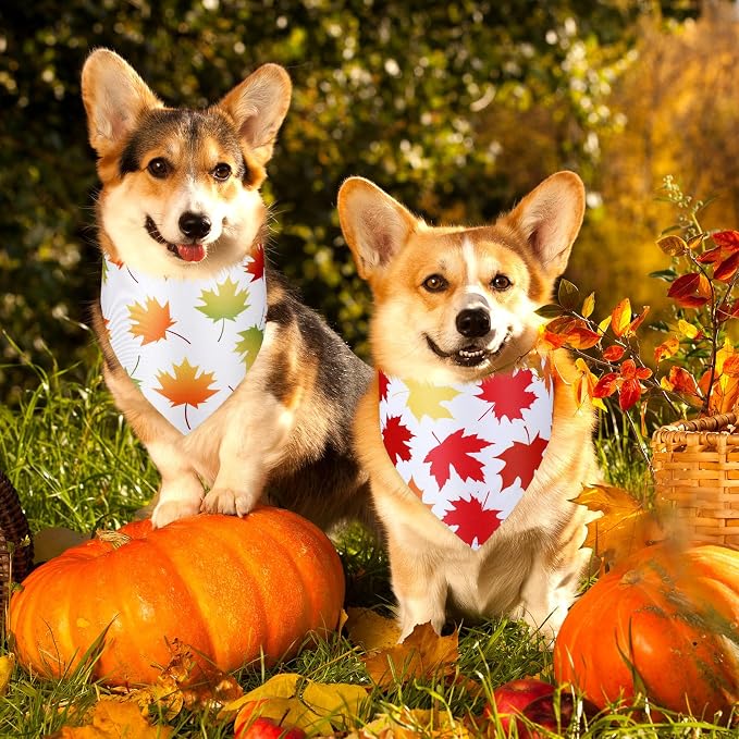 Abbylike 50 Pcs Fall Dog Bandanas Bulk, Autumn Maple Leaves Pattern