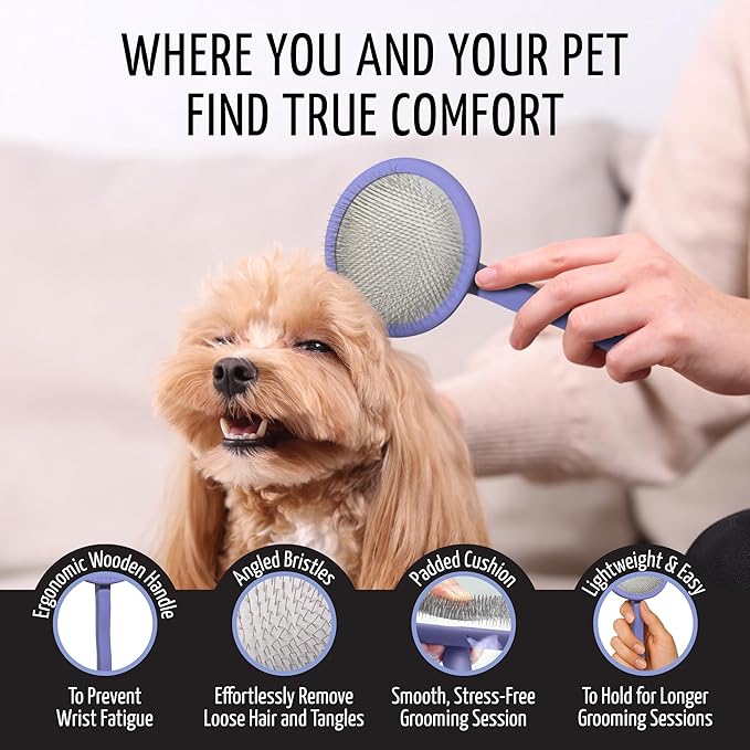 Tauro Pro Line Slicker Brush for Dogs & Cats, Deshedding, Dematting & Detangling Grooming Tool for Medium to Long Coats, Ideal for Cocker Spaniels, Round Flexible Cushion, Purple, Medium Size (M)