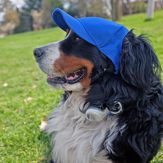 Littlearth Unisex NHL Pet Baseball Hat