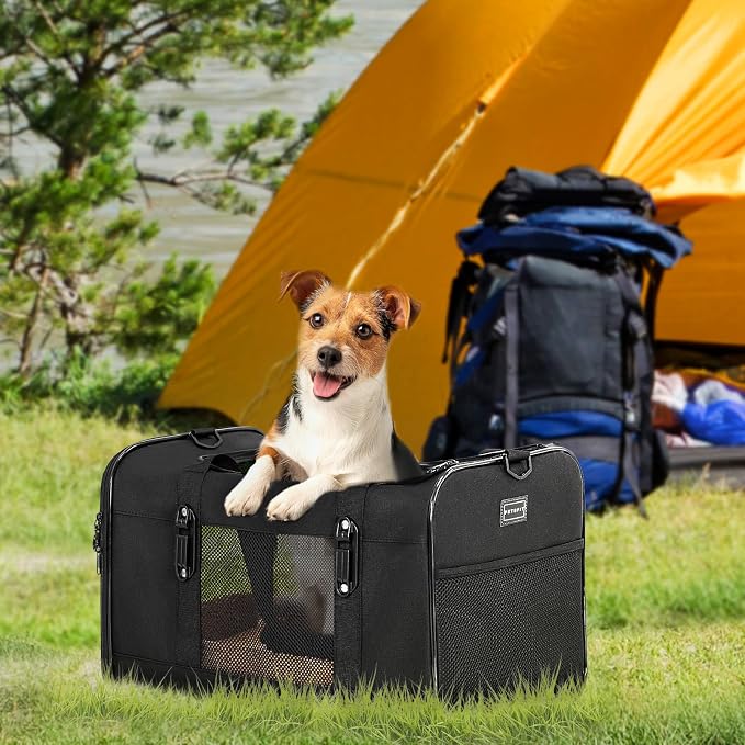 Petsfit Large Cat Carrier for Car Travel, Patented Seat Belt Buckle, 20 lb | 19 x 12 x 12 in; for large cats and small dogs, with locking zippers, anti-scratch mesh, reinforced frame and washable pad.