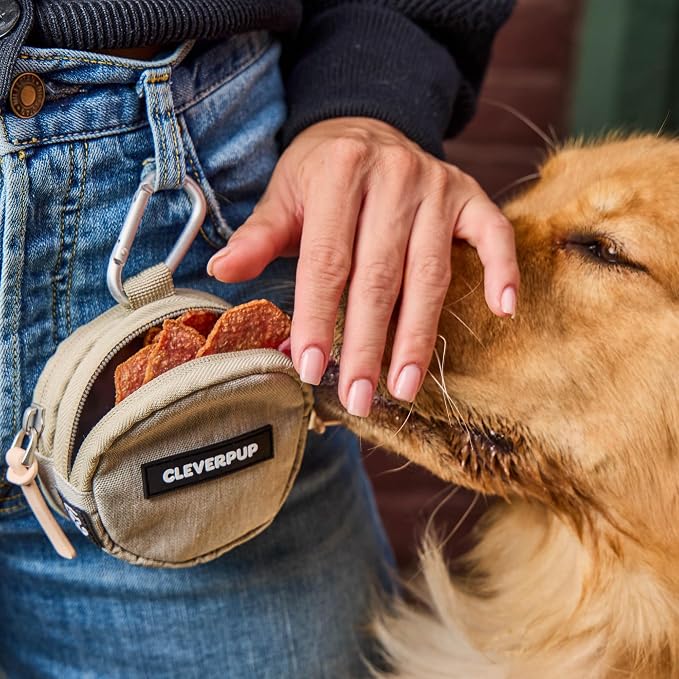 Cleverpup Snackpack Double Insulated Dog Treat Pouch – 1.5 Cup Capacity, 2 BPA-Free Waterproof Zipper Pockets, Carabiner for Belt/Leash – Compact Training & Travel Bag – Sand