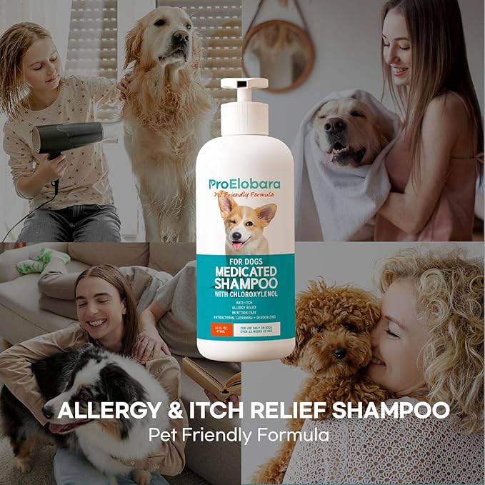 Medicated Dog Shampoo for Allergies and Itching: Antifungal Dog Shampoo, Yeast Infection and Bacterial Treatment for Dogs - Helps Hot Spots, Deodorizing and Anti Itch - Healthy Skin & Coat 16 OZ