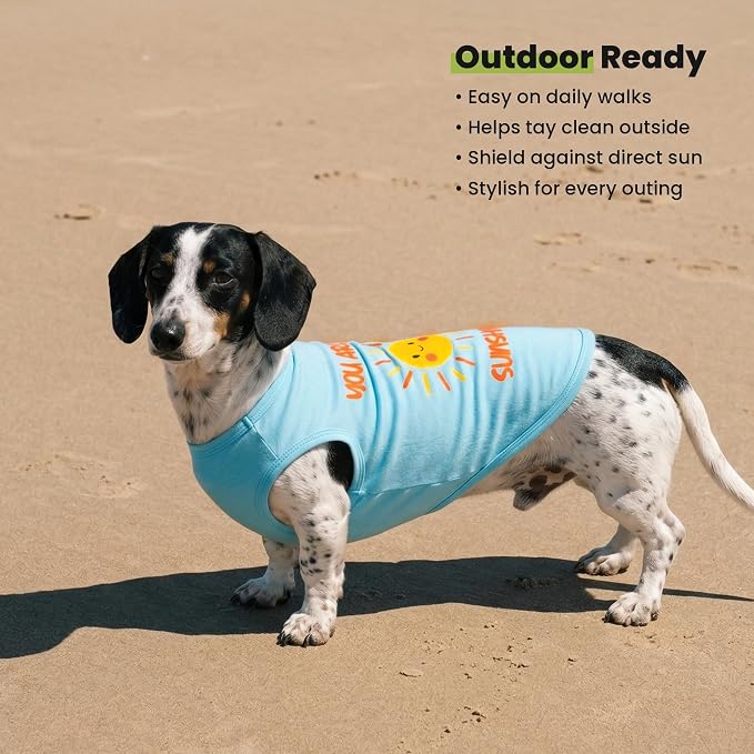 Fitwarm You are My Sunshine Dog Shirt, Tropical Summer Clothes for Small Dogs Boy Girl, Funny Pet Outfit, Blue, Yellow, Large