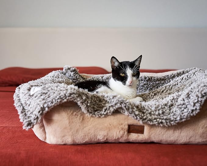Pet Parents Pet Blanket - Water Resistant, Cat & Dog Blanket for Small, Medium & Large Dogs, 24"x32"