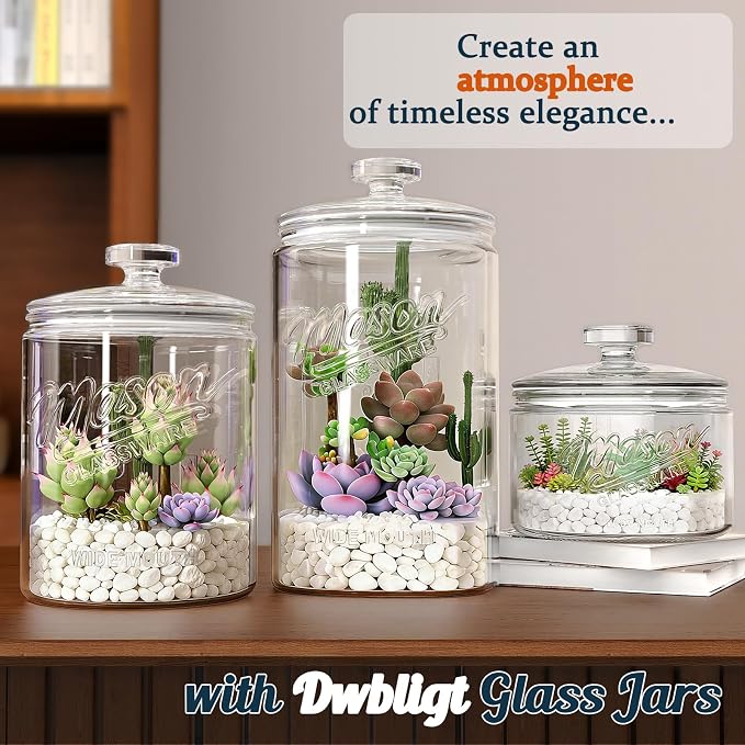 1 Gallon Glass Cookie Jar with Lid, 5.7'' Wide Mouth Mason Jars | 2 Pack Glass Canisters for Pantry Organizers & Storage, Candy Jar for Flour Sugar, Sourdough Starter, Dog Treat, Laundry Room