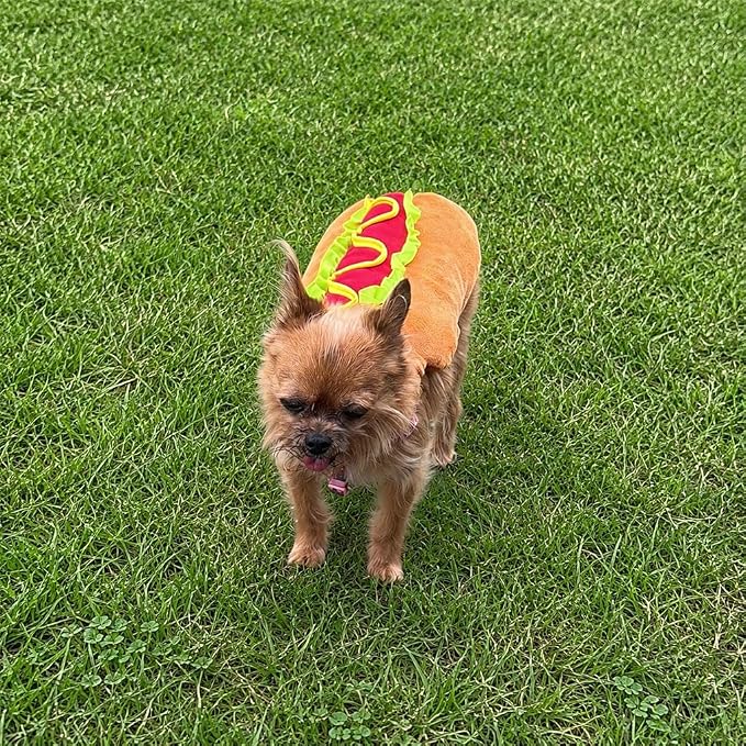 Delicious Hot Dog Pet Costume, Medium