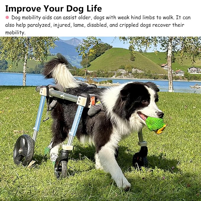Lar Dog Wheelchair - 4 Wheel/2 Wheel Adjustable Pet li Aid, Rear Limb Support Trolley for Mum to L Dogs, Injured Dog Bike Trailer with Leg Protect Pad