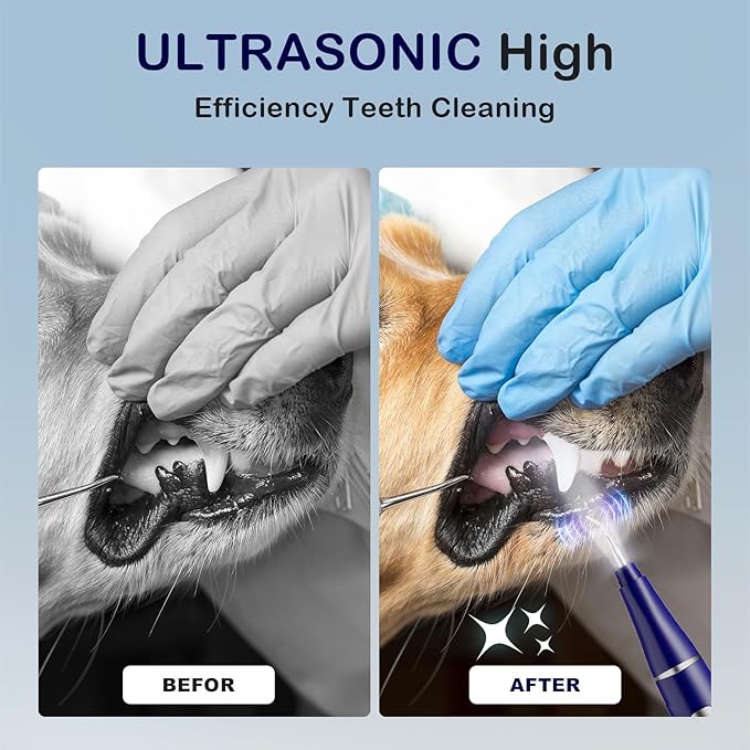 Plaque Remover for Teeth, Pet Ultrasonic Cleaner, Dog Plaque and Tartar Remover with LED Light, Dog Teeth Cleaning Dental Care Kit for Tartar and Stains, Suitable for Dogs and Cats (Blue)
