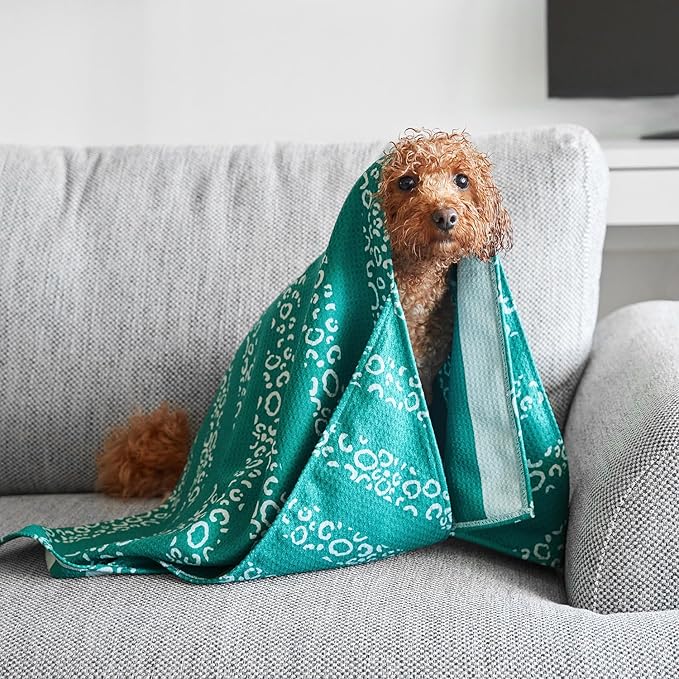 Dock & Bay Pet Towel - Super Absorbent & Quick Drying Dog Towels with Bag - 100% Recycled - Woofs Go Wild, Medium (90x50cm, 35x19)