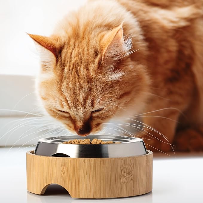 CatGuru Food Table for Cat Bowls, Elevated Feeding Station for Cat Food Bowl, Raised Stand For Pet Food and Water Bowls, Pet Feeder For Indoor Cats, Stress Free Stand For Pet Dishes (Bamboo, Standard)