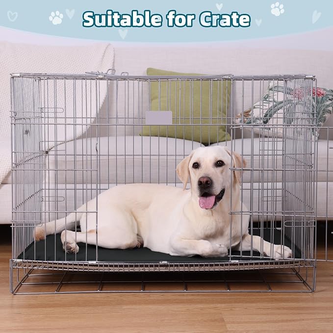 Dog Crate Pad Mat, Waterproof Wipeable Kennel Bed, 35x22, Black | Outdoor Wipe-Clean Kennel Pet Mat for Medium Large Dogs, Non-slip Bottom, Lightweight & Portable, Suit for Travel, Trunk