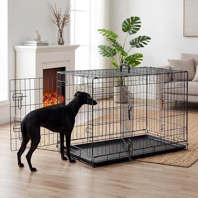 DUMOS 36 Inch Dog Crate, Puppy Small Medium Foldable Dog Cage Pet Kennel | Double Door Metal Wire, Plastic Leak-Proof Pan Tray, Portable Indoor Outdoor Training Travel