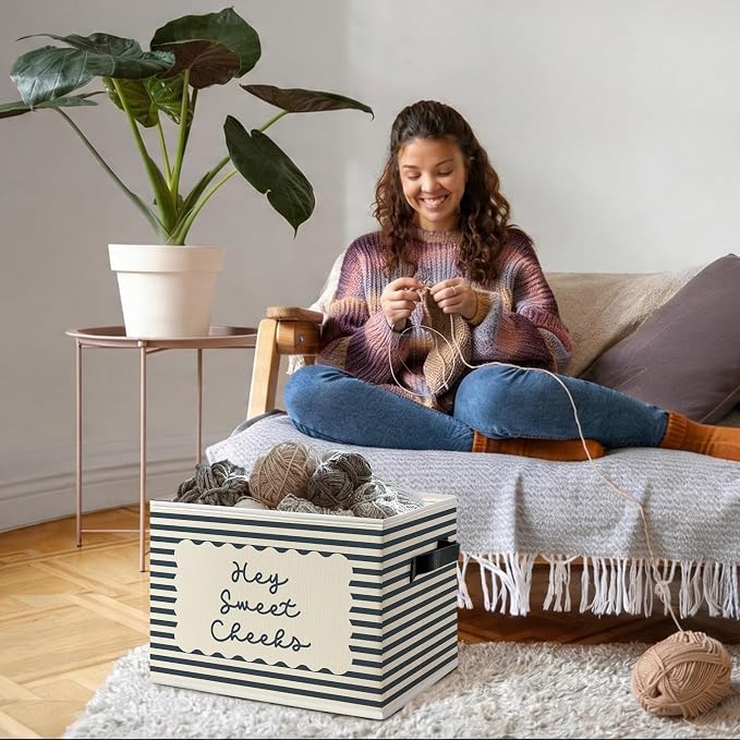 Hey Sweet Cheeks Bathroom Foldable Storage Bins Box with Handles, Boho Blue Striped Decorative Storage Boxes Baskets Organizer for Washroom Guest Bathroom