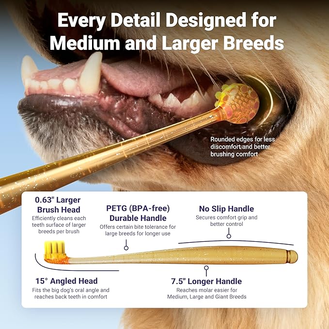 Dog Toothbrushes for Medium and Large Dogs, 2pcs, Ultra Soft Bristle, Long Durable Handle, Pet Tooth Brush and Dental Care Kit, Super Thin Bristle Gentle on Gum for Sensitive Pets, Amber