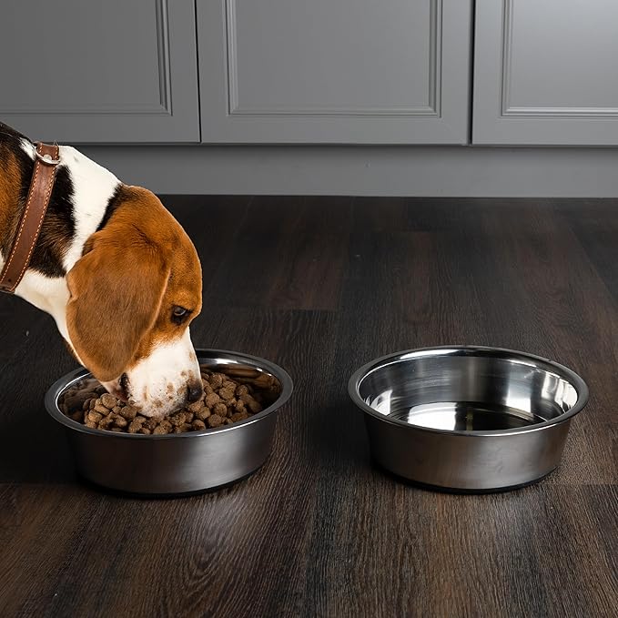 Set of 2 Stainless Steel Dog Bowls - 64oz/8 Cups Food and Water Bowls for Dogs and Cats - Non Slip Metal Pet Dishes for Medium to Large Sized Pets - Puppy Essentials by PETMAKER
