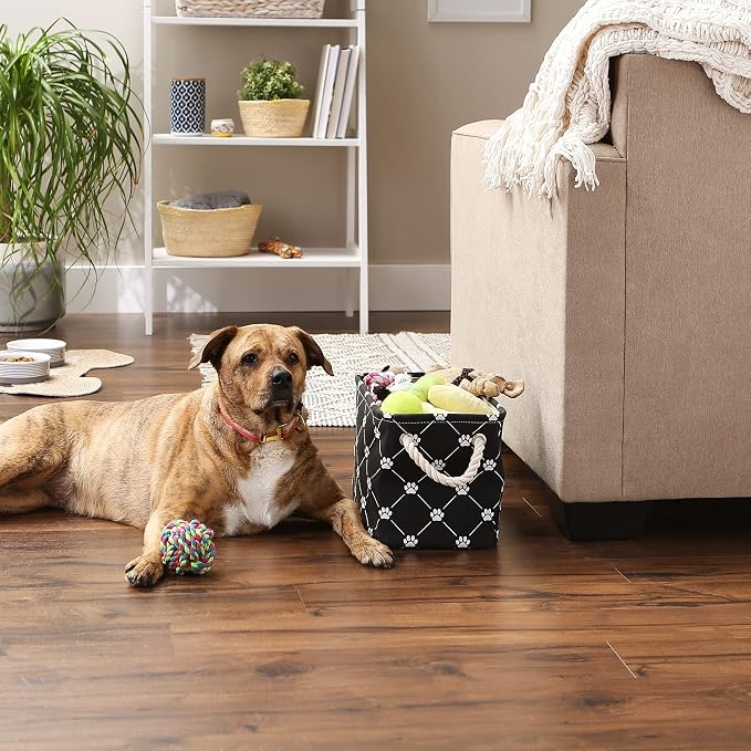 Bone Dry Pet Storage Paw & Bone Trellis, Small Rectangle 14x8x9, Black