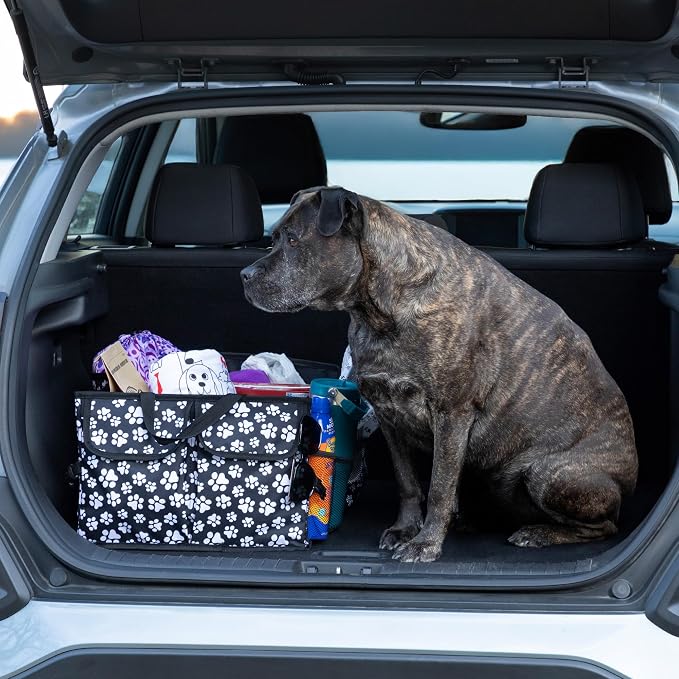 GreaterGood Collapsible Paw Print Car Trunk Organizer with 6 Pockets Truck SUV and Sedan Caddy With Compartment Vehicle Storage Container (Paws Galore - Black & White)
