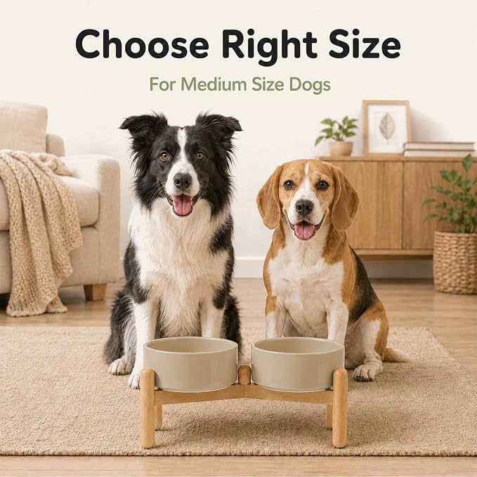 Havniva Ceramic Dog Bowls Elevated, Raised Dog Food Bowl for Small Dogs | 7.3” Elevated Dog Bowls, Non-Slip Wood Stand, Dog Food and Water Bowl Set, Dog Feeding Dish, Large Capacity Pet Water Bowl