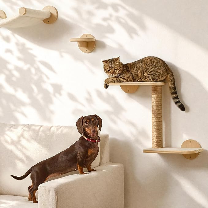 FUKUMARU Cat Wall Shelves, 5 in 1 Set, Beige | Stable Wooden Wall-Mounted Furniture Set, Kitty Climber with Hammock, House, Steps, Scratching Post