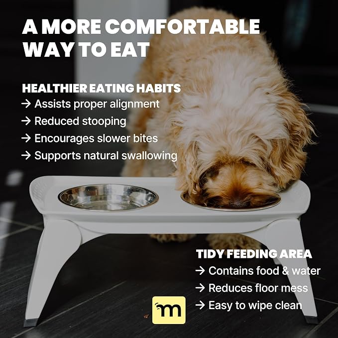 MalsiPree Elevated Dog Bowls - 6.5in Raised Stand, 2 Steel Bowls | Foldable raised feeder - splash guard, 2 steel bowls - Use for small dogs, travel & feeding station