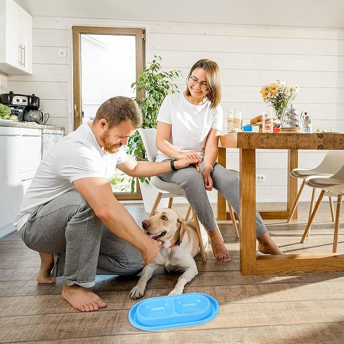 2 Pieces Cat Food Basic Dog Bowls 35oz Plastic Double Pet Food Water Bowls Feeding Bowl Tray Cat Eating and Drinking No Spill for Dogs Pets, Pink and Light Blue
