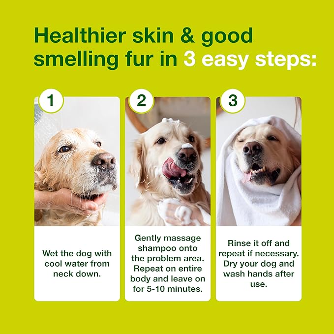 Douxo S3 Seb Shampoo, Contains 0.5% Ophytrium, Odor Control & Seboregulating, For Oily to Flaky Skin, Seborrhea, For Dogs and Cats, 16.9 fl. oz. (500mL)