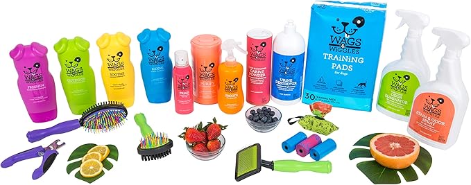Wags & Wiggles Freshen Deodorizing Dog Shampoo in Very Berry Scent | Odor Control for Smelly Dogs, 16 Ounces (Pack of 2)