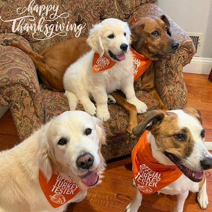 Turkey Tester Dog Bandana Thanksgiving Costume for 7-30lbs Pets