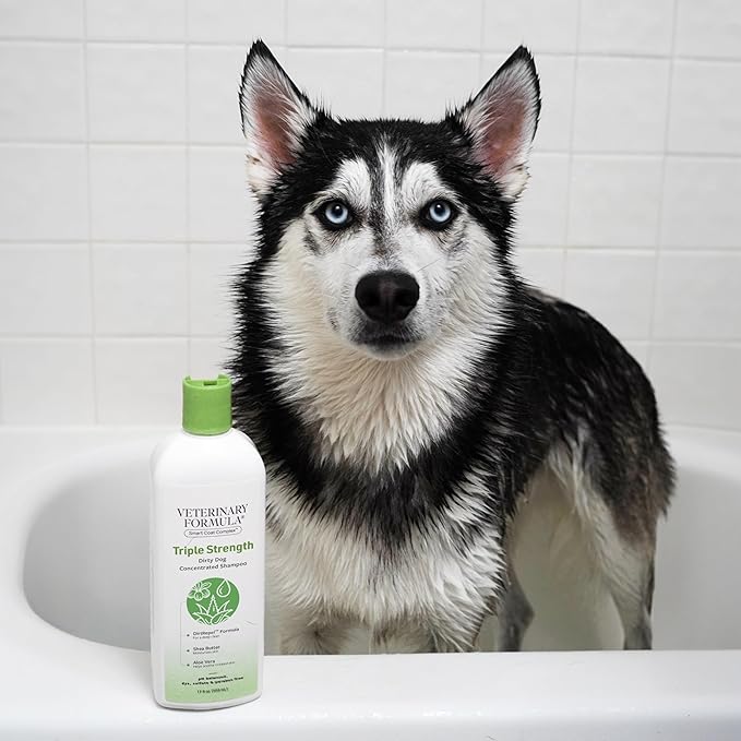 Veterinary Formula Smart Coat Complex Triple Strength Dirty Dog Concentrated Shampoo, 17 Fl oz – DirtRepel Tech Cleans Extra Dirty and Smelly Dogs – Contains Shea Butter and Aloe Vera to Soothe