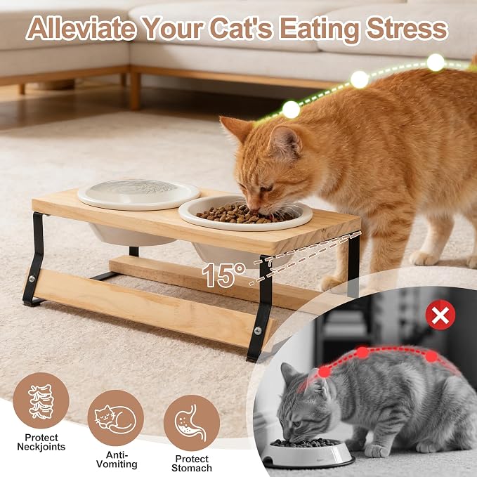 getlstub Elevated Cat Bowls with Wood Stand - Raised Cat Food and Water Bowls for Indoor Cats & Small Dogs, 15°Tilted High Ceramic Anti-Vomit Pet Feeder, Whisker Fatigue Friendly