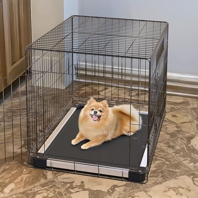 FXW TitanNest Padded Chew-Proof Elevated Dog Bed for Extra-Small Dogs | Easy to Clean, Pre-assembly Raised Cot, Indoor/Outdoor/Camping, 29 x 18 x 4.5in