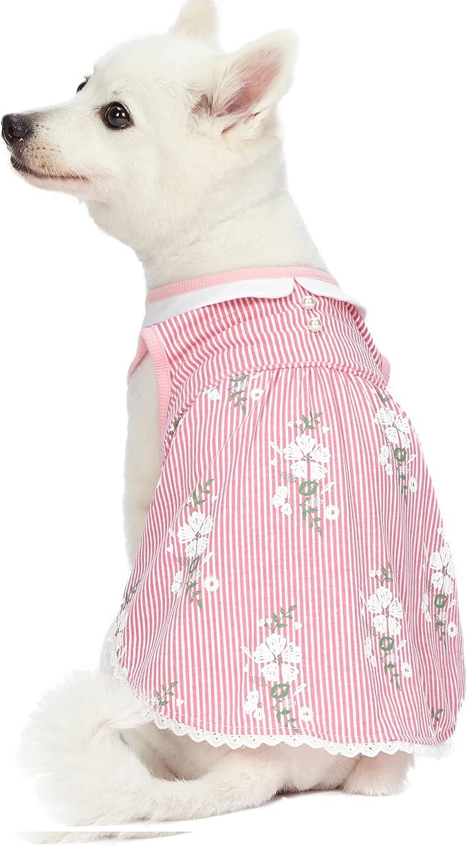 Blueberry Pet Wonderland Floral Sleeveless Dog Dress in Pink Stripe with Peter Pan Collar, Back Length 16", Pack of 1 Clothes for Dogs