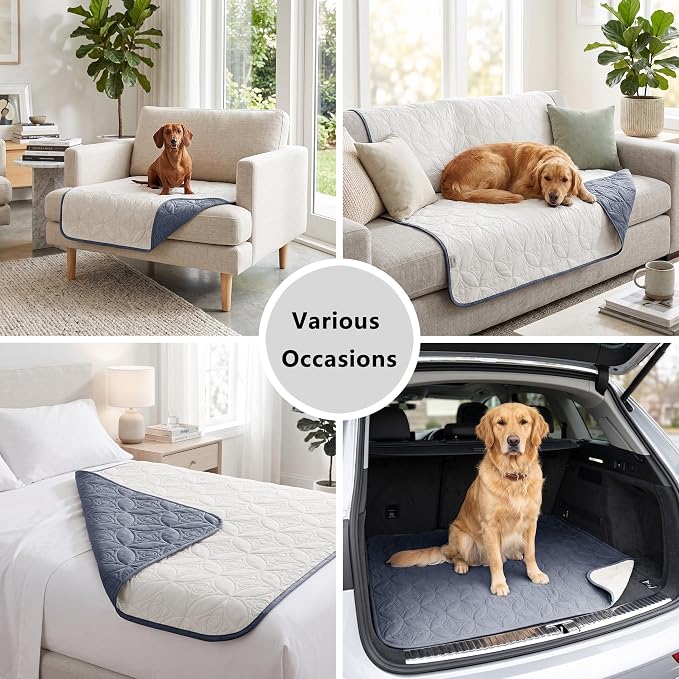 Waterproof Couch Cover for Dogs - Washable Pets Furniture Protector | TPU Leak-Proof Liner, Lightweight & Reversible, Fits Chair, Sofa, Bed, 68" x 82" , Blue/Cream