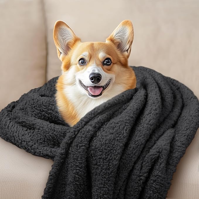 1 Pack 3 Calming Blankets Fluffy Premium Fleece Pet Blanket Soft Sherpa Throw for Dog Puppy Cat Black Large (41"x31") | Fluffy Throw Blanket Washeble for Crate Bed Couch Indoor. Cozy Pet Blanket, Puppy Essentials Dog gift,Black,Large