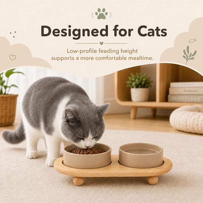 Havniva Raised Cat Bowl 5.1” Elevated Ceramic Cat Food and Water Bowl Set | Cat Bowls Elevated, Whisker Friendly Cat Bowl, Non-Slip Wood Stand, Food-Grade Ceramic, Wide Opening, Dishwasher Safe