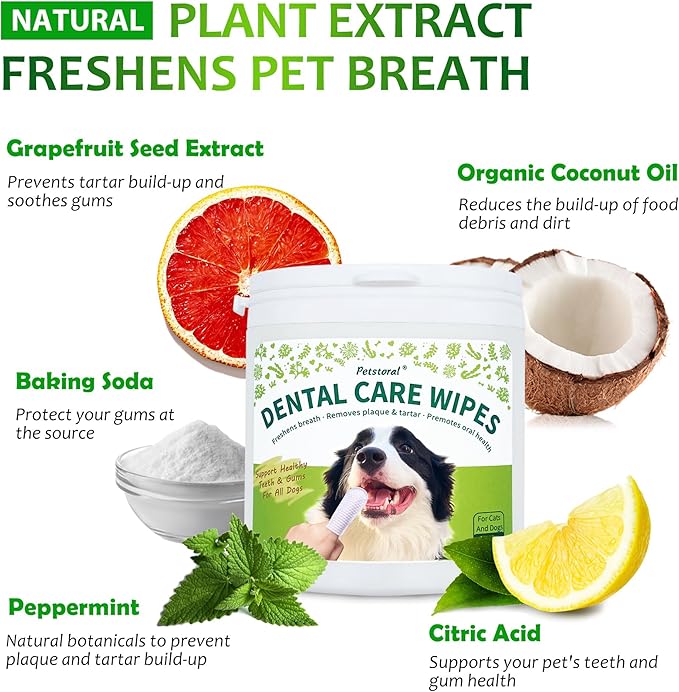 Petstoral Dental Care Wipes for Dogs and Cats, 50 Count, Teeth and Gum Cleaning, Plaque and Tartar Removal